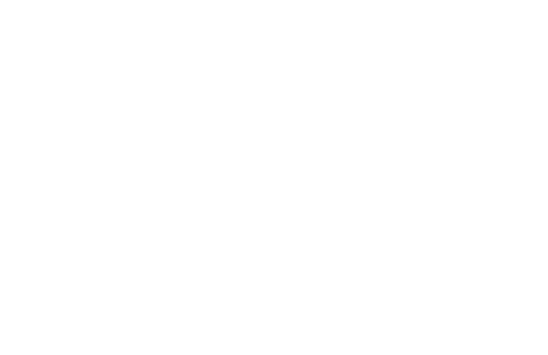 steynip home logo2