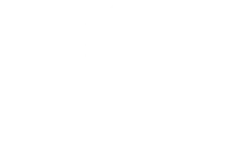 steynip home logo2